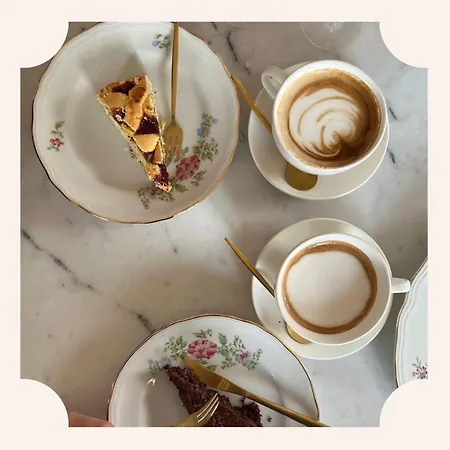 Maldestra רימיני