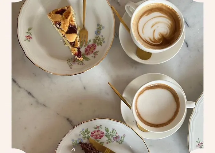 Maldestra רימיני